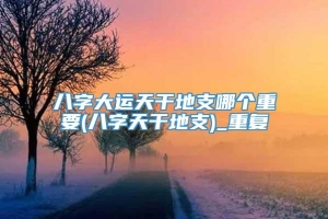 八字大运天干地支哪个重要(八字天干地支)_重复