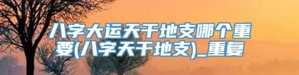 八字大运天干地支哪个重要(八字天干地支)_重复