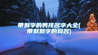 带默字的男孩名字大全(带默默字的网名)