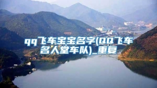 qq飞车宝宝名字(QQ飞车名人堂车队)_重复