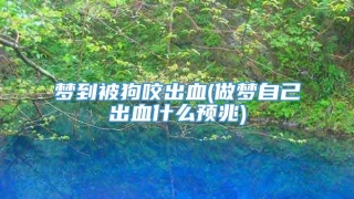 梦到被狗咬出血(做梦自己出血什么预兆)