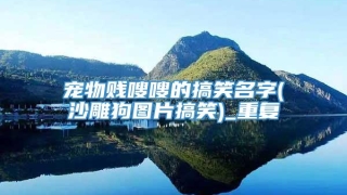 宠物贱嗖嗖的搞笑名字(沙雕狗图片搞笑)_重复