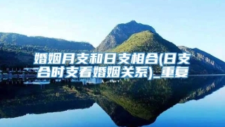 婚姻月支和日支相合(日支合时支看婚姻关系)_重复