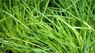 老是梦见前夫怎么回事(前夫出轨离婚后看到前妻为什么要恨)