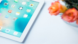 蔼字起名配什么字好(起名字典取名字典)