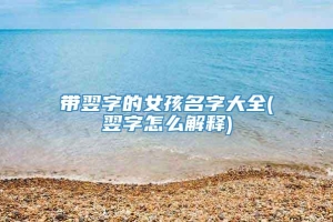 带翌字的女孩名字大全(翌字怎么解释)