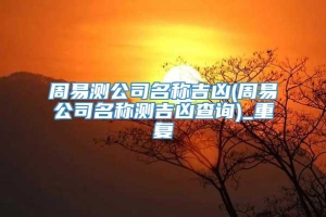 周易测公司名称吉凶(周易公司名称测吉凶查询)_重复