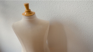 额头高的人聪明吗(真的有“聪明相”)