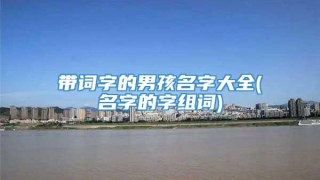 带词字的男孩名字大全(名字的字组词)