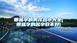 带延字的男孩名字大全(带延字的名字好不好)