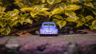 28岁属啥(8 23 27 80 84 251 255)_重复