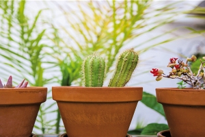 9月13日出生的人很可怕(女子推倒性骚扰的醉酒男致其死亡)