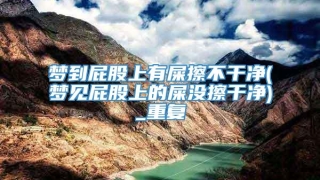 梦到屁股上有屎擦不干净(梦见屁股上的屎没擦干净)_重复