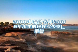 2006年是什么年(2006年出生的现在多少岁)_重复