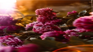 佛滔居士解梦(佛滔解梦大全查询下载)_重复