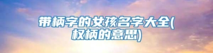 带柄字的女孩名字大全(权柄的意思)