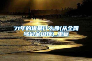 71年的猪是什么命(从全网骂到全国捧)_重复