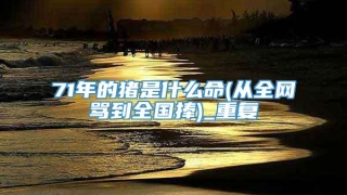 71年的猪是什么命(从全网骂到全国捧)_重复