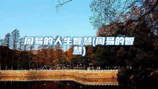 周易的人生智慧(周易的智慧)