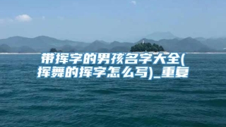 带挥字的男孩名字大全(挥舞的挥字怎么写)_重复
