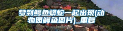 梦到鳄鱼蟒蛇一起出现(动物园鳄鱼图片)_重复
