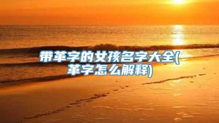 带革字的女孩名字大全(革字怎么解释)