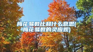 梅花易数比和什么意思(梅花易数的灵应观)