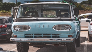 2022年生肖猴的运势(2022生肖运势详解)_重复