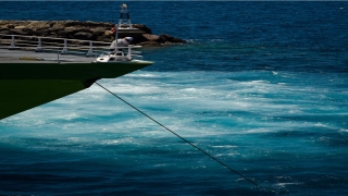 带贤字的名字(贤字前面用什么字取名好)