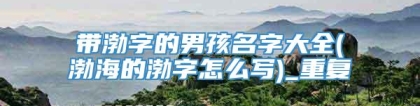 带渤字的男孩名字大全(渤海的渤字怎么写)_重复