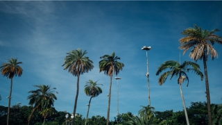 得意扬扬的意思解释(得意扬扬的意思是什么解释)