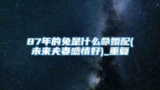 87年的兔是什么命婚配(未来夫妻感情好)_重复