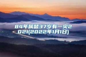 84年属鼠37岁有一灾2021(2022年1月1日)