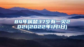 84年属鼠37岁有一灾2021(2022年1月1日)