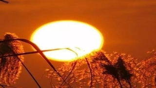 出自周易的词语(这10个耳熟能详的成语)_重复