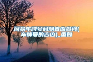 周易车牌号码测吉凶查询(车牌号的吉凶)_重复