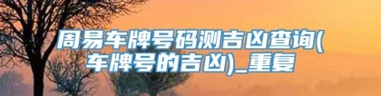 周易车牌号码测吉凶查询(车牌号的吉凶)_重复