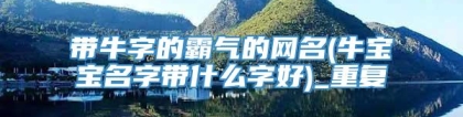 带牛字的霸气的网名(牛宝宝名字带什么字好)_重复