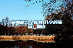 笔画测名字打分(八字的笔画)_重复