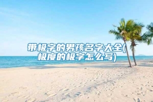 带极字的男孩名字大全(极度的极字怎么写)