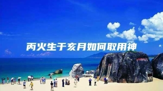 丙火生于亥月如何取用神