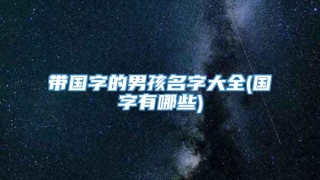 带国字的男孩名字大全(国字有哪些)