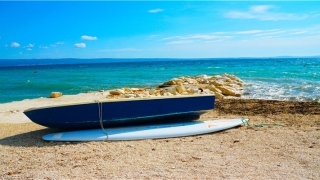 百灵鸟算命网(历史上百算百灵的奇葩算命大师)