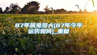 87年属兔多大(87年今年运势如何)_重复