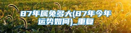 87年属兔多大(87年今年运势如何)_重复