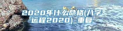 2020年什么命格(八字运程2020)_重复