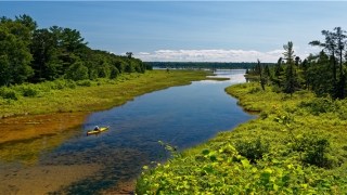 男面部痣相图解 最全(锁骨解剖图片)