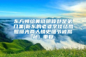 东方朔给黄晓明算卦是第几集(靳东的老婆李佳结婚照曝光两人情史细节被揭秘)_重复