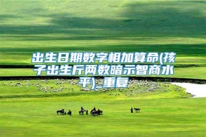 出生日期数字相加算命(孩子出生斤两数暗示智商水平)_重复