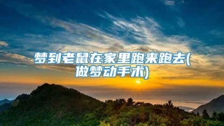 梦到老鼠在家里跑来跑去(做梦动手术)